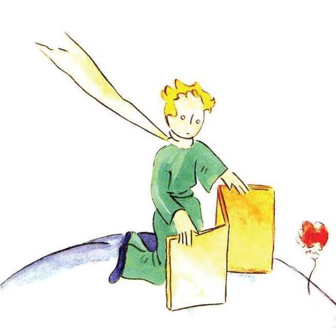 Lettura Il Piccolo Principe